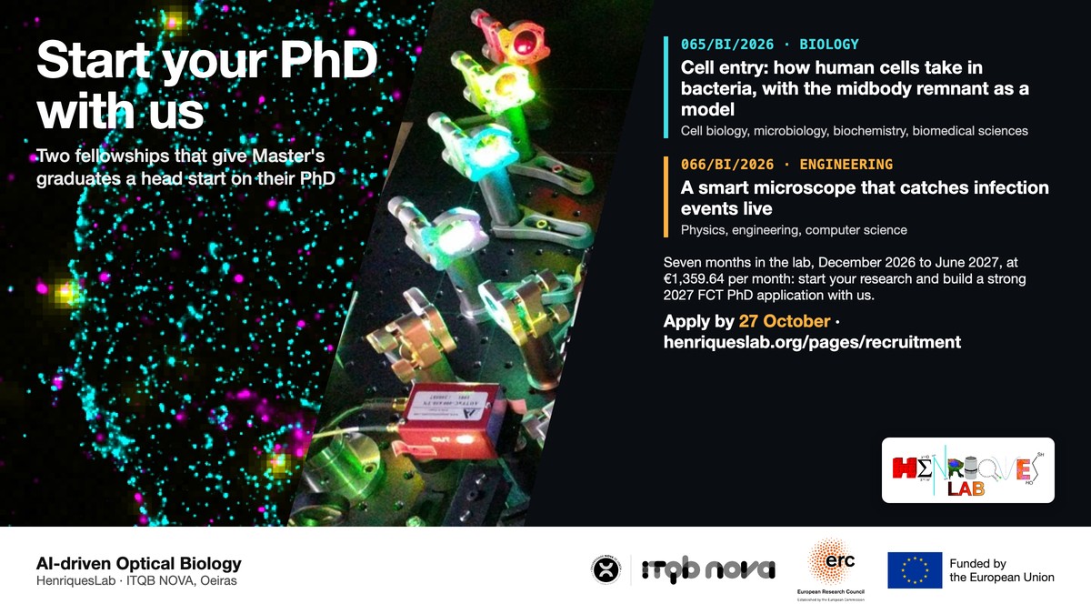 Start your PhD with us: two research fellowships for Master's graduates at the AI-driven Optical Biology lab, ITQB NOVA. 065/BI/2026 in biology and 066/BI/2026 in engineering. Apply by 27 October.
