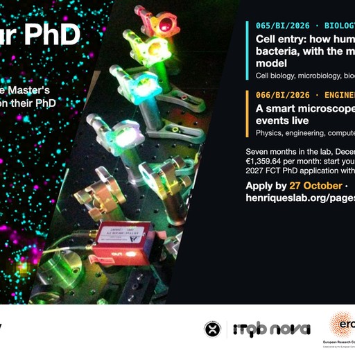Two research fellowships for Master's graduates