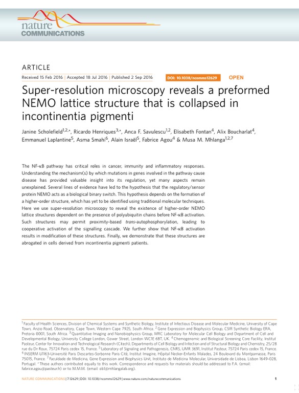 Super-resolution microscopy reveals a preformed NEMO lattice structure that is collapsed in incontinentia pigmenti