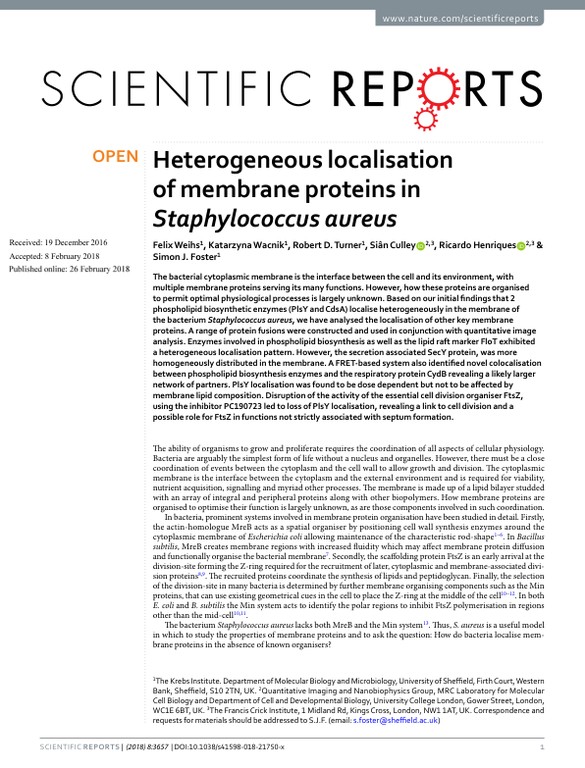 Heterogeneous localisation of membrane proteins in Staphylococcus aureus