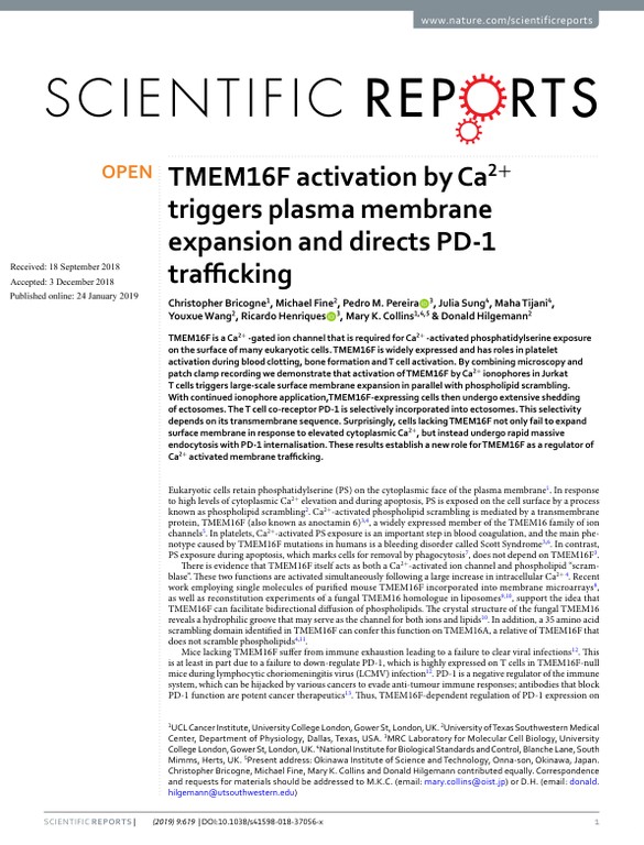 TMEM16F activation by Ca2+ triggers plasma membrane expansion and directs PD-1 trafficking