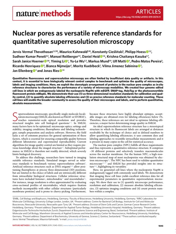 Nuclear pores as versatile reference standards for quantitative superresolution microscopy