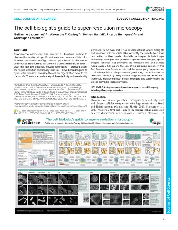 The cell biologist's guide to super-resolution microscopy