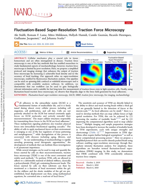 Fluctuation-based super-resolution traction force microscopy