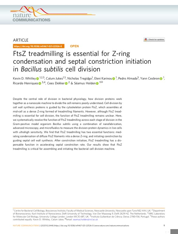 FtsZ treadmilling is essential for Z-ring condensation and septal constriction initiation in Bacillus subtilis cell division