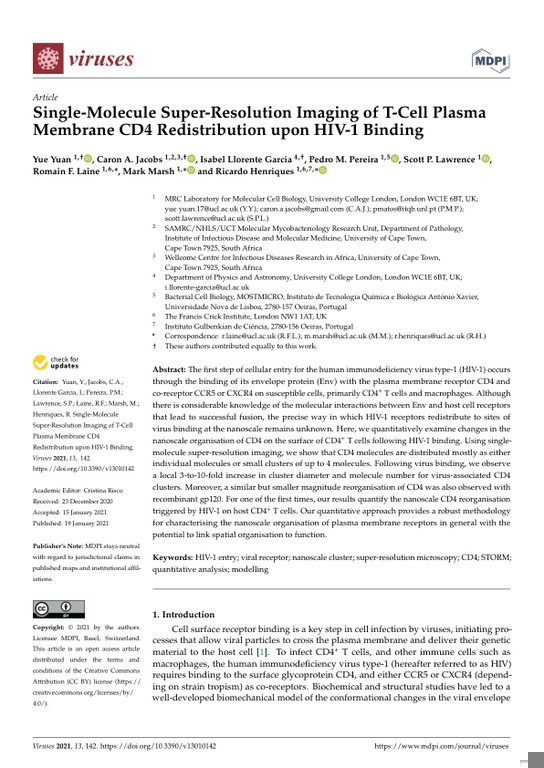 Single-Molecule Super-Resolution Imaging of T-Cell Plasma Membrane CD4 Redistribution upon HIV-1 Binding