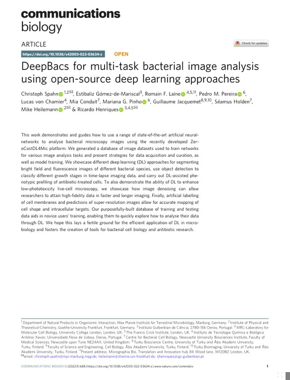 DeepBacs for multi-task bacterial image analysis using open-source deep learning approaches
