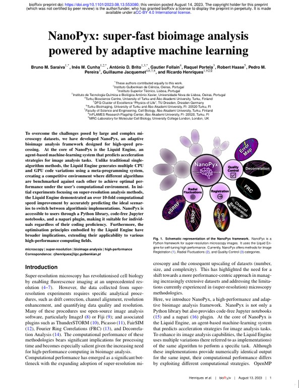 NanoPyx - super-fast bioimage analysis powered by adaptive machine learning
