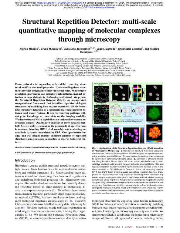 Structural Repetition Detector - multi-scale quantitative mapping of molecular complexes through microscopy