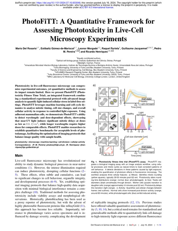 PhotoFiTT - A Quantitative Framework for Assessing Phototoxicity in Live-Cell Microscopy Experiments