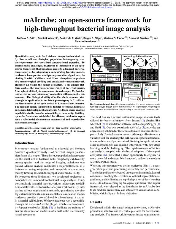 mAIcrobe - an open-source framework for high-throughput bacterial image analysis