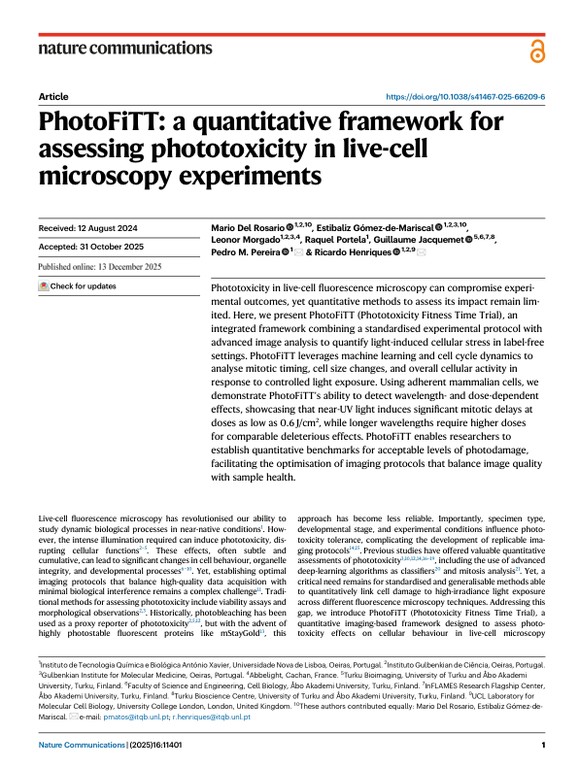 PhotoFiTT - a quantitative framework for assessing phototoxicity in live-cell microscopy experiments