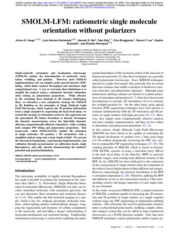 SMOLM-LFM - ratiometric single molecule orientation without polarizers